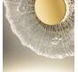 Бра Arte Lamp Cherish A2097AP-12GO