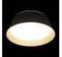 Потолочный светильник Loft IT Evans 10224 Black